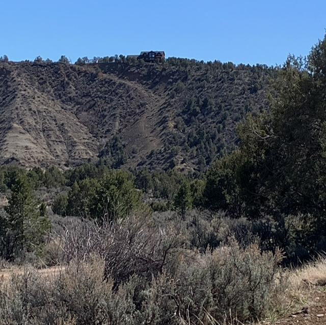 View of the Ute trail leading towards the Animas River.