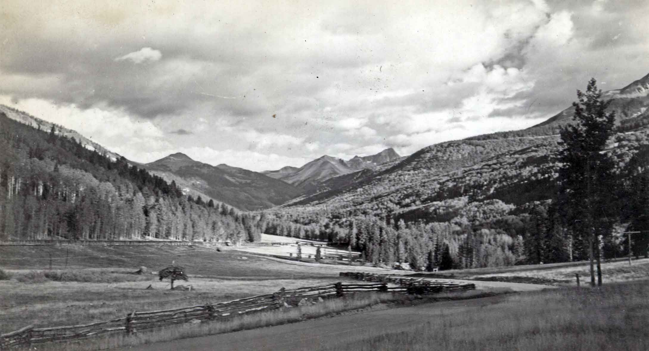 Cascade Meadows