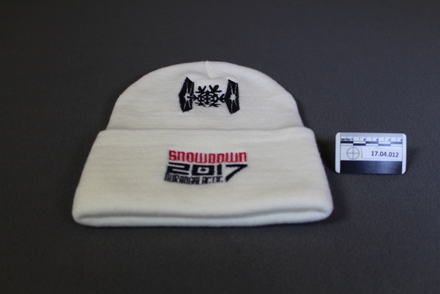 2017 beanie