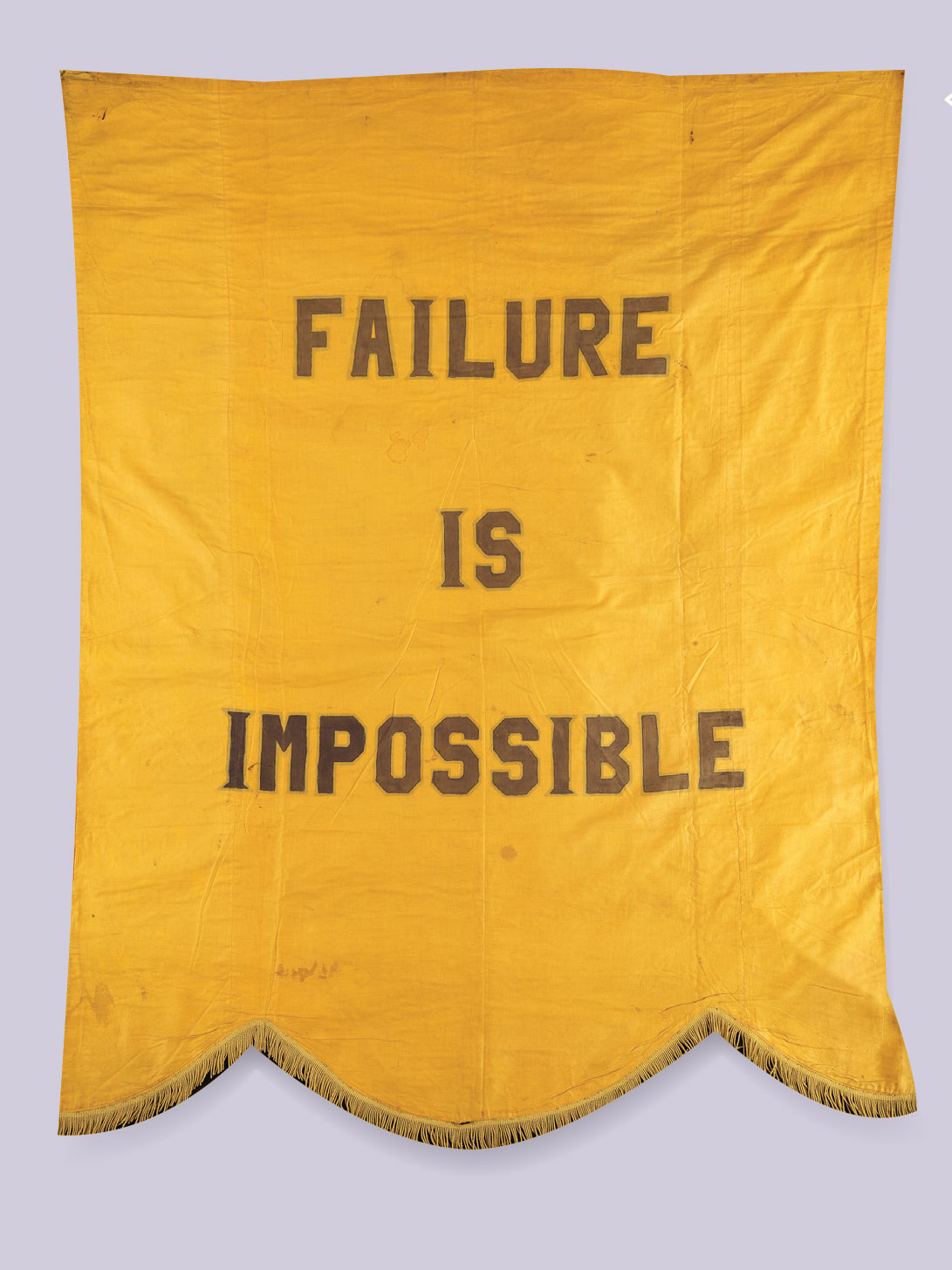 Suffragist banner